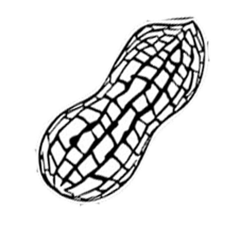 #1953 - Peanut - Circus